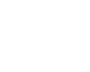 ESAY